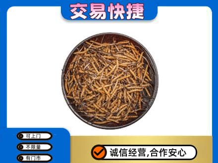 邯郸馆陶县回收散虫草
